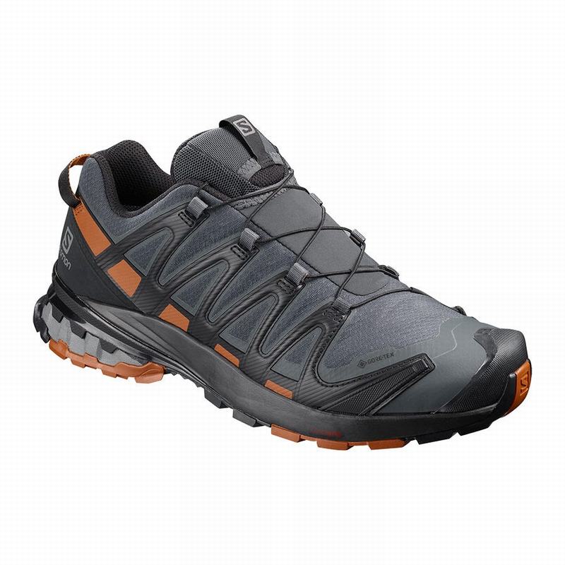 Salomon Singapore Mens Hiking Shoes - XA PRO 3D V8 GORE-TEX Dark Blue/Black | 78635-SDXK